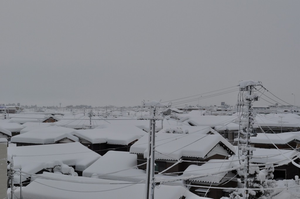 冬の風景